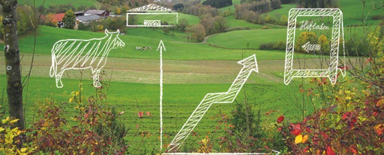 Rinder-, Hof-, Statistik- und Hofladenschild-Zeichnung mit landwirtschaftlicher Fläche im Hintergrund