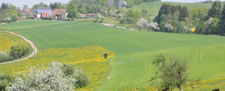 Frühlingslandschaft mit Streuobstwiese im Vordergrund und Dorf im Hintergrund