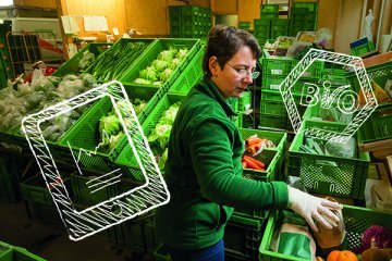 Obst und Gemüsebereich eines Ladens. Eine Mitarbeiterin befüllt einen der Körbe. Kreidezeichnungen im Vordergrund (Tablet und Bio-Siegel)
