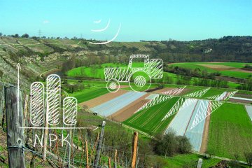 Felder und Weinberge. Kreidezeichnungen im Vordergrund (Traktor der Dünger ausbringt und Statistik für NPK-Düngung)